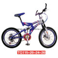 Cheap Steel OEM Accepted Double Suspension MTB/Bike for Adult